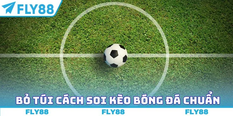 Bỏ túi cách soi kèo bóng đá chuẩn chỉnh