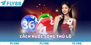 Cách nuôi song thủ lô