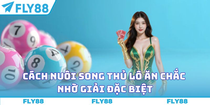 Cách nuôi song thủ lô ăn chắc nhờ giải đặc biệt