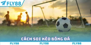 cách soi kèo bóng đá