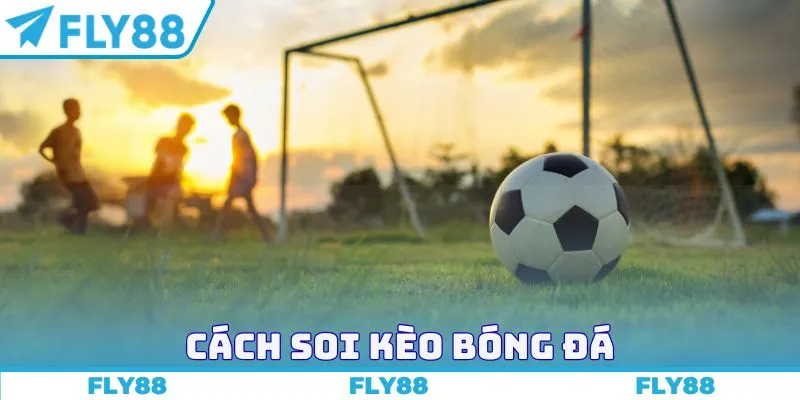 cách soi kèo bóng đá