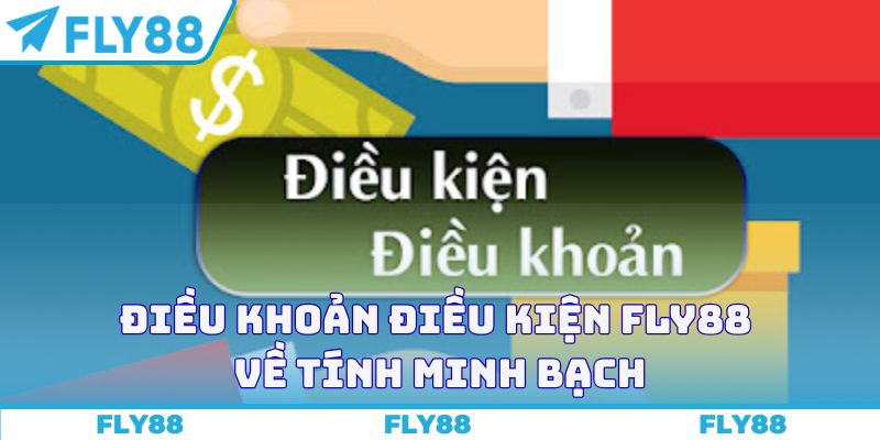 Điều khoản điều kiện FLY88 về tính minh bạch