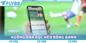 Hướng dẫn đọc kèo đá banh