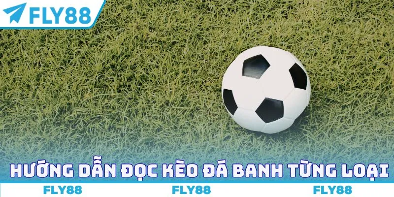 Hướng dẫn đọc kèo đá banh theo từng loại