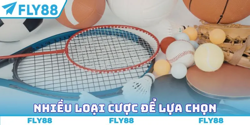 Nhiều loại cược để lựa chọn