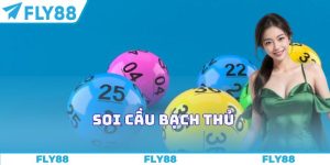 Soi cầu bạch thủ