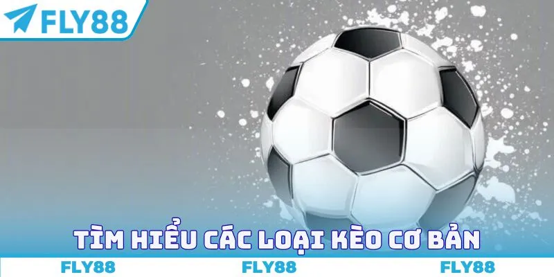 Tìm hiểu các loại kèo cơ bản